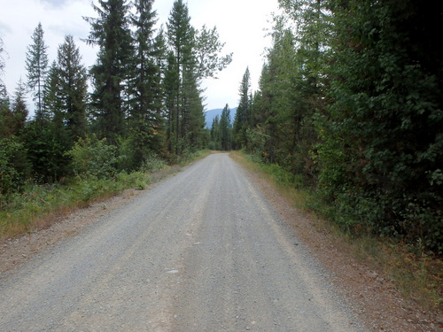 GDMBR: Southbound on NF-903, Cold Creek Road.